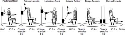 Surface Electromyography Spectral Parameters for the Study of Muscle Fatigue in Swimming